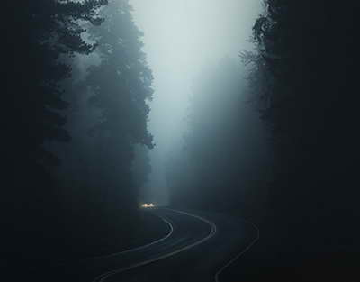 Ғылым, білім және Конституция: Қазақстанның жаңа бағытының үш тірегі