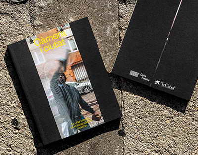 Vulkanın yandırdığı torpaq təcrübədən sonra canlandı: 40 mindən çox bitki bitir