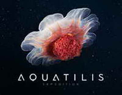 Теңге мен несиелердің тағдыры не болмақ: базалық мөлшерлемеге қатысты шешім жарияланады