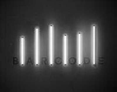 Балаева журналист Ботагөз Омарованың қамауға алынуына қатысты пікір білдірді